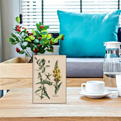 Herbal Plant Painting Retro Flower Decorative Drawing