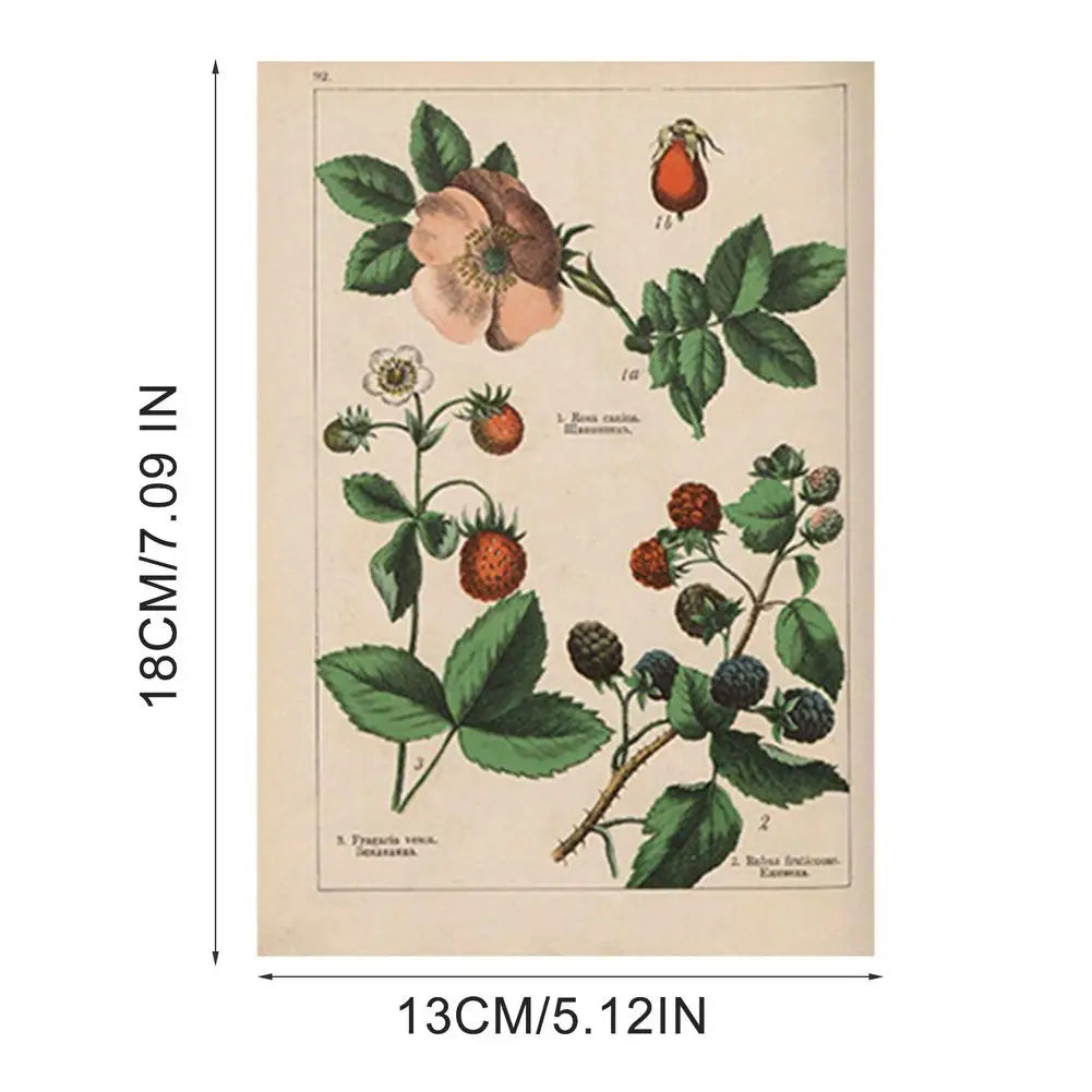 Herbal Plant Painting Retro Flower Decorative Drawing