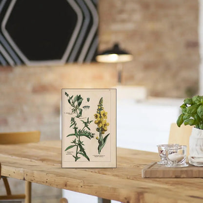 Herbal Plant Painting Retro Flower Decorative Drawing