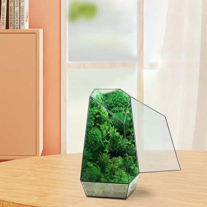 Succulent Terrarium Modern Handmade Glass Planter Pot With Door 25cm Handmade Glass Planter Pot Small Geometric Terrarium