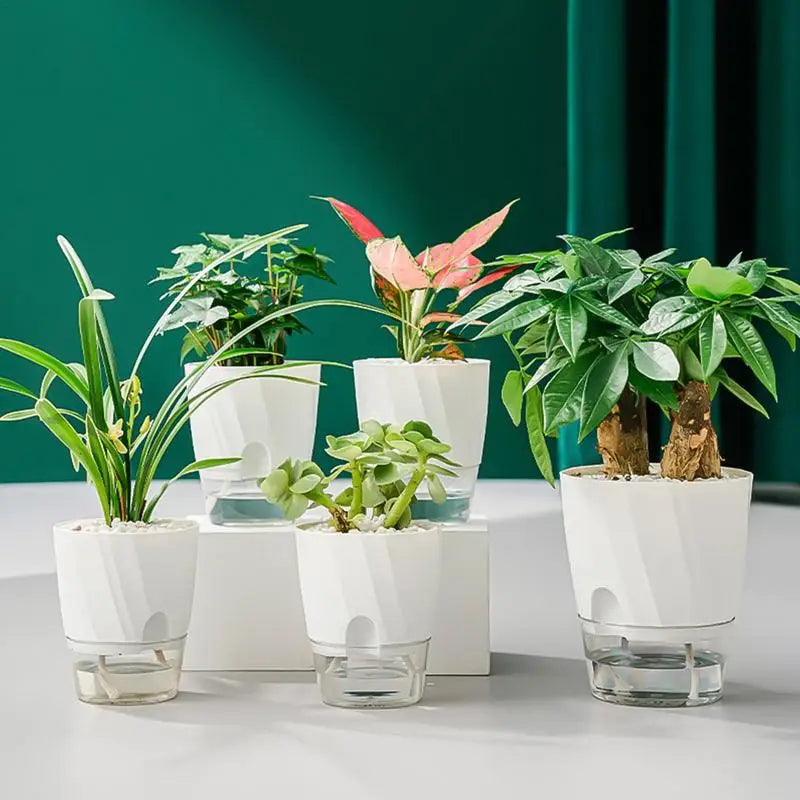 Self Watering Plant Pot Transparent Plastic Flower Pot Double-layer Automatic Suction Basin Lazy Potted African Violet Pots