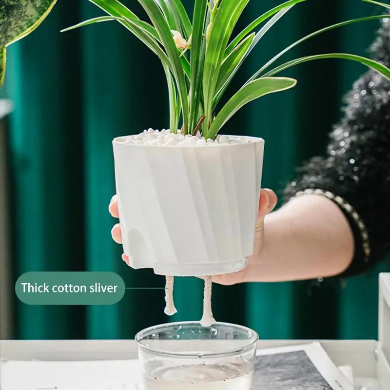 Self Watering Plant Pot Transparent Plastic Flower Pot Double-layer Automatic Suction Basin Lazy Potted African Violet Pots