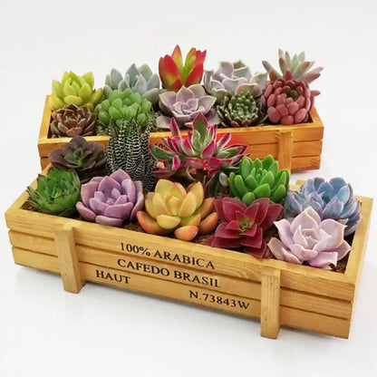 Wooden Planter Box Garden Plant Flower Pot Decorative Yard MicroLandscape Flower Vintage Succulent Container Garden Decoration