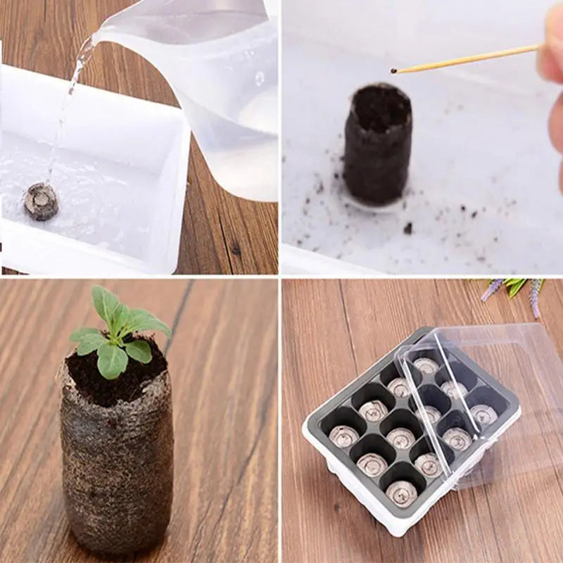 10 Peat Pellets 30mm Soil Seeds Starting Soil Pellet Fiber Soil Indoor Seed Starter Kit For Garden Peat Block Nursery Block