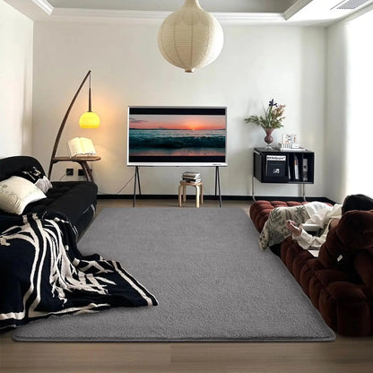 NOAHAS Gray Soft Rugs for Living Room Long Hair Lounge Carpet In The Bedroom Furry Decoration Nordic Fluffy Floor Bedside Mats